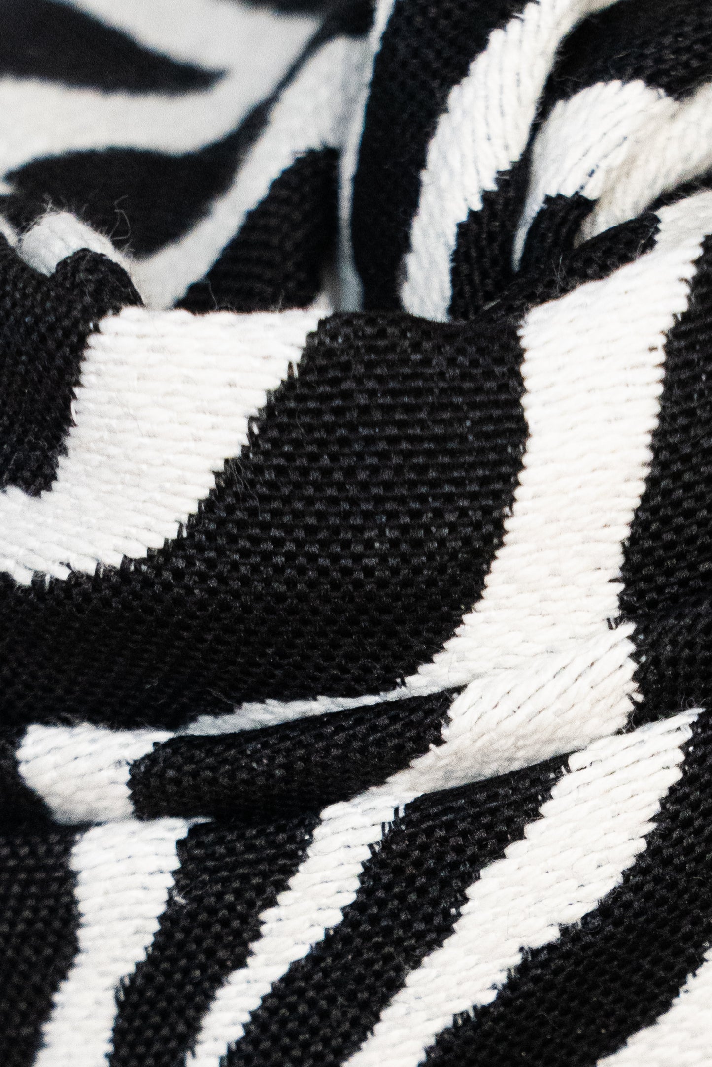 Tyshel Zebra